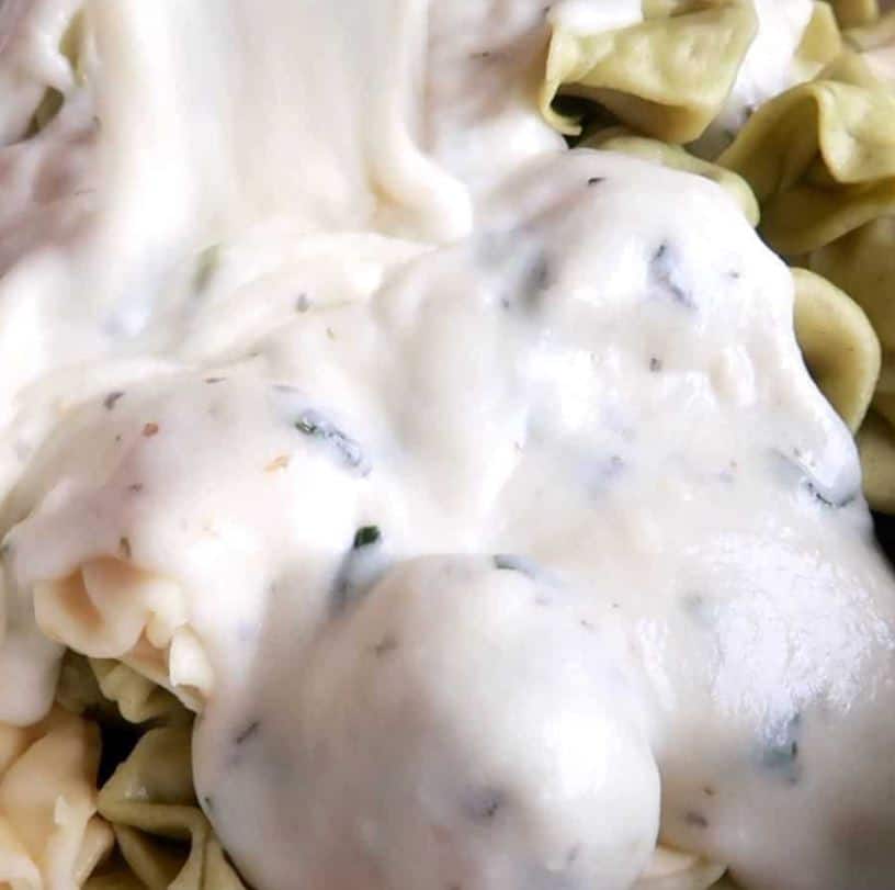 alfredo-sauce-recipe-with-milk