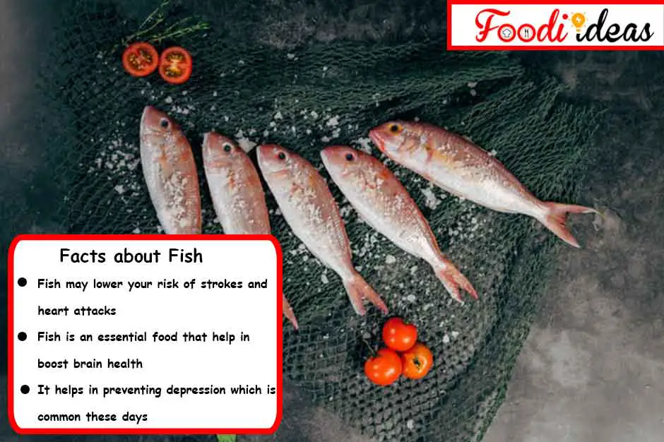 interesting healthy facts about fish