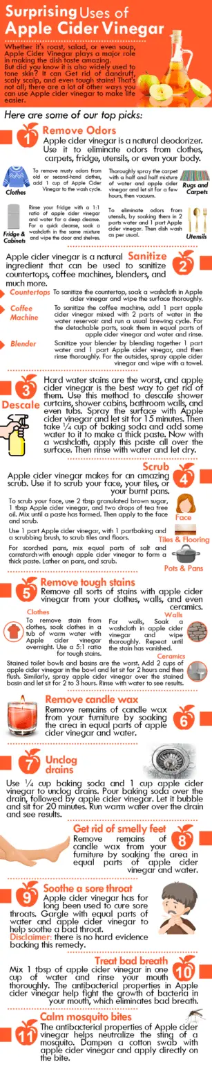 10 Best Substitutes for Apple Cider Vinegar in 2023