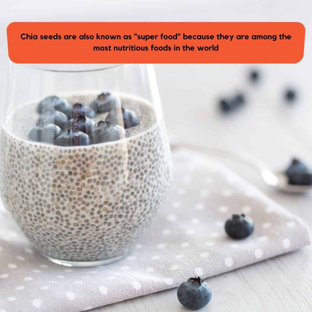 chia pudding helps in healing after dental surgery