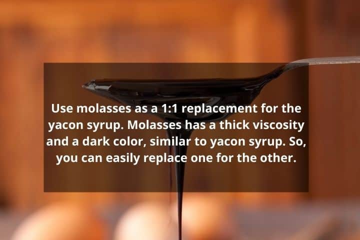 replace blackstrap molasses in place of yacon syrup